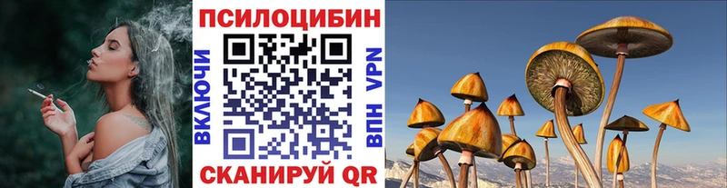 blacksprut ССЫЛКА  купить наркотики цена  Новокубанск  Псилоцибиновые грибы GOLDEN TEACHER 